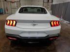 FORD MUSTANG photo