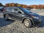 HONDA CR-V LX photo