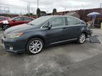 LEXUS HS 250H photo