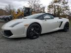 LAMBORGHINI GALLARDO S снимка