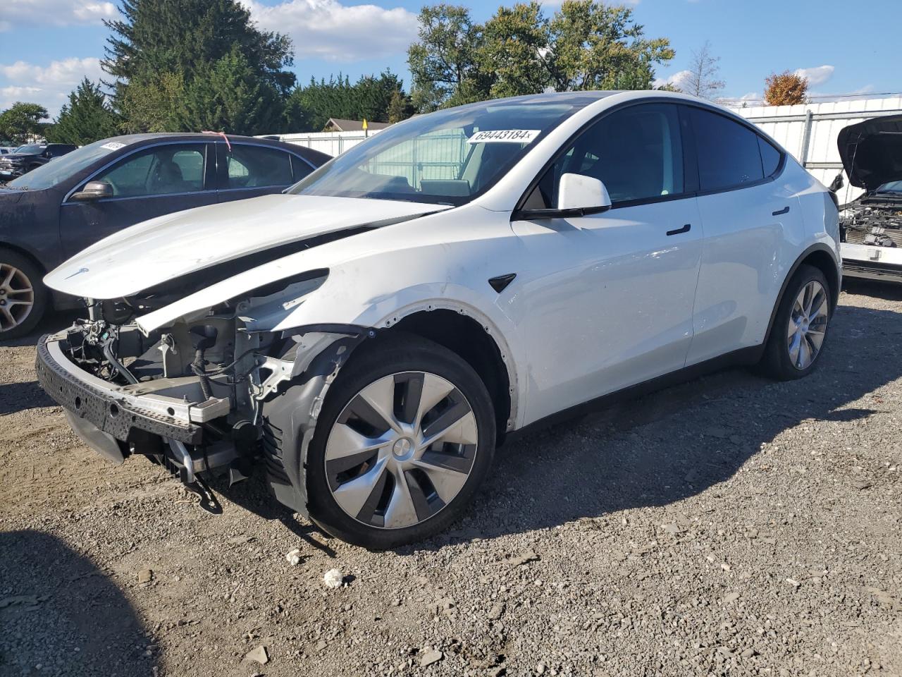 Lot #2962553818 2022 TESLA MODEL Y