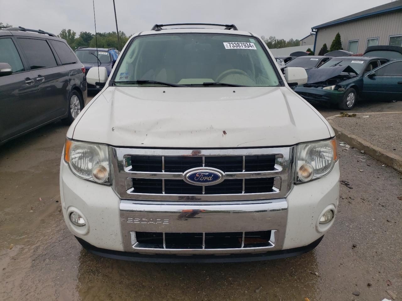 Lot #2931103305 2011 FORD ESCAPE LIM