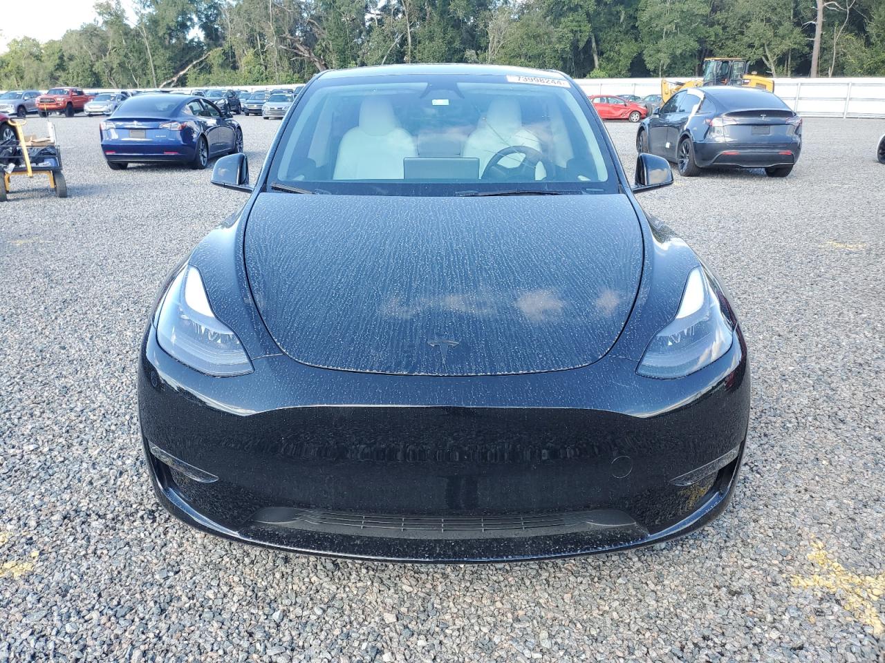 Lot #2989157728 2024 TESLA MODEL Y