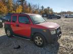 Lot #2991112207 2005 HONDA ELEMENT EX