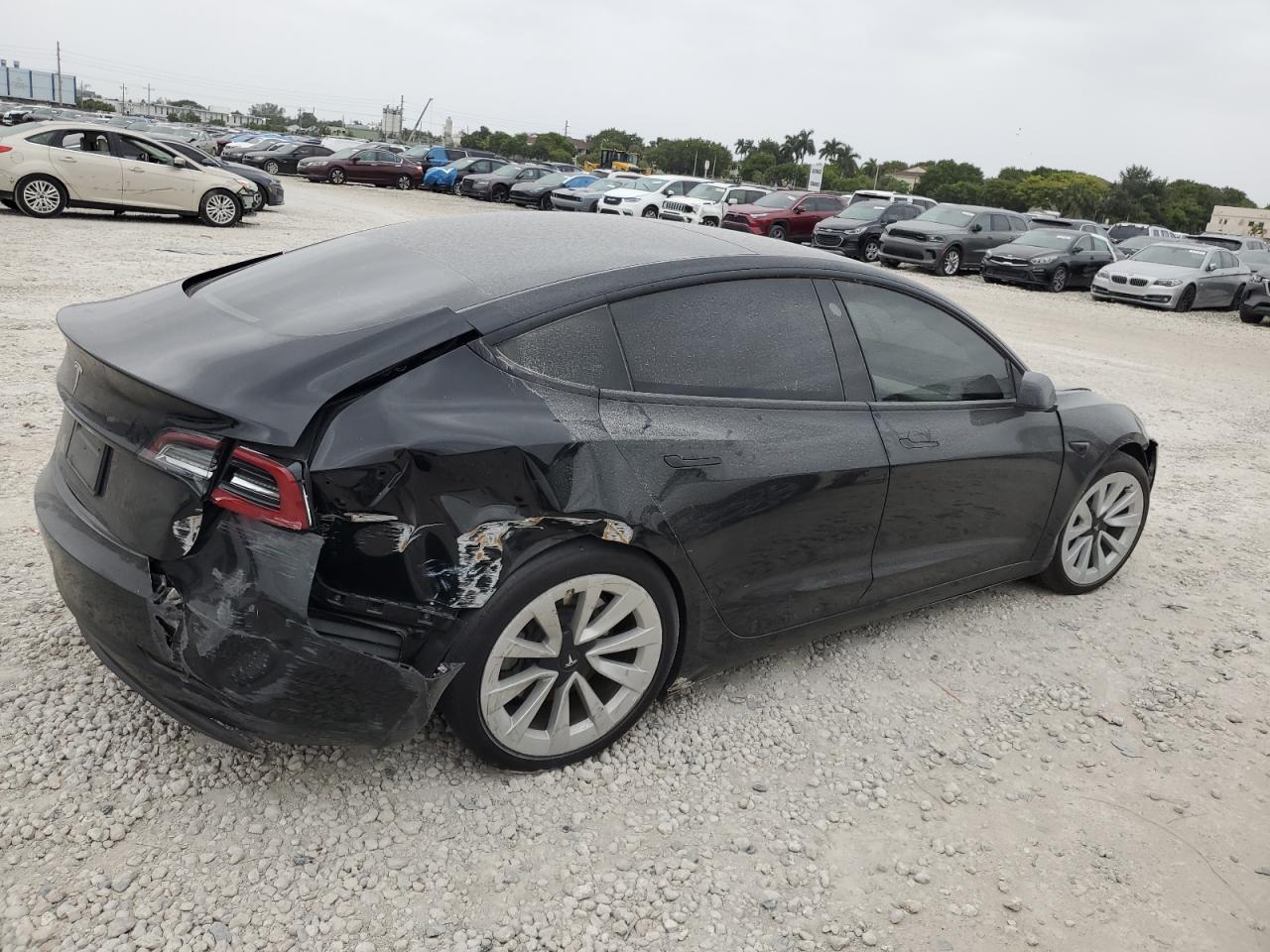 Lot #2989157650 2023 TESLA MODEL 3