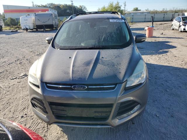 VIN 1FMCU0J9XEUA18970 2014 Ford Escape, Titanium no.5