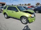 Lot #3004276903 2012 FORD ESCAPE XLT