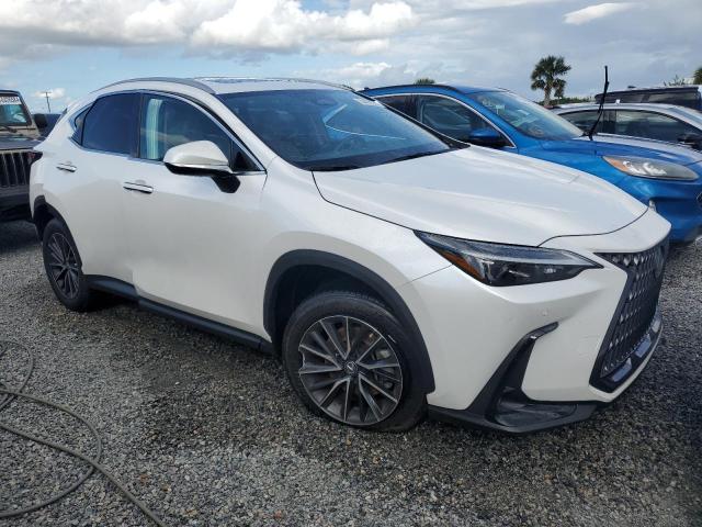2024 LEXUS NX 250 PRE 2T2GDCAZ6RC014369