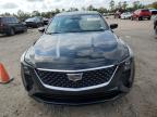 CADILLAC CT5 PREMIU photo