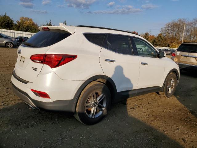 2017 HYUNDAI SANTA FE S - 5NMZUDLBXHH009137