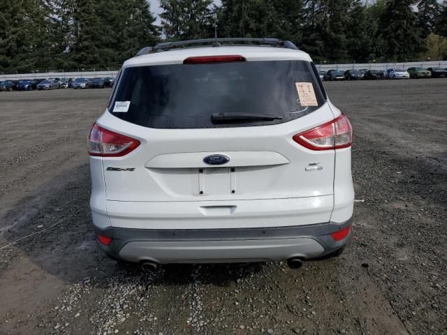 VIN 1FMCU9GX3EUB64444 2014 Ford Escape, SE no.6