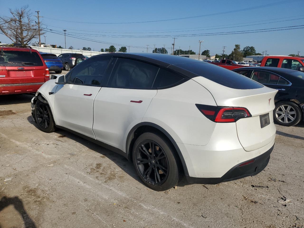 Lot #2962563819 2020 TESLA MODEL Y