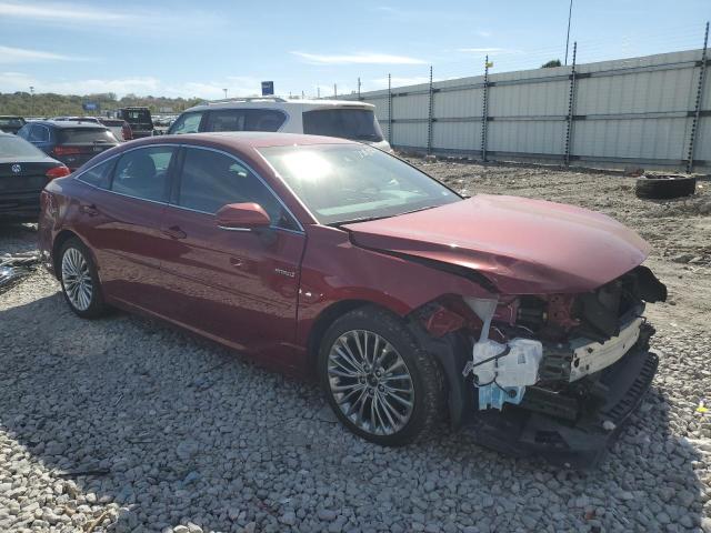 2019 TOYOTA AVALON XLE - 4T1B21FB1KU003157