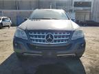 MERCEDES-BENZ ML 350 4MA photo