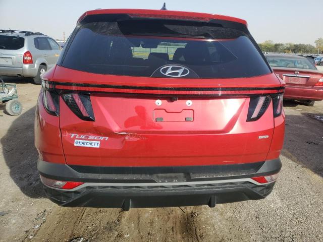 2022 HYUNDAI TUCSON SEL - 5NMJCCAE6NH004195