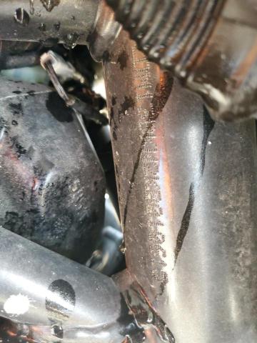 2019 DUCATI XDIAVEL ZDM13BKW2KB010615