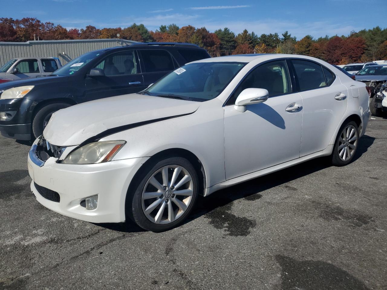 Lot #2938012861 2009 LEXUS IS 250