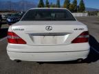 Lot #3025119170 2006 LEXUS LS 430