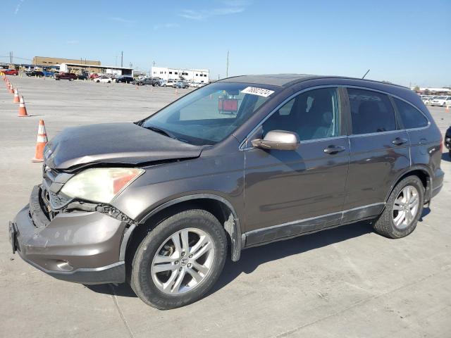 Vin: 5j6re3h74al038188, lot: 76802124, honda crv exl 2010 img_1