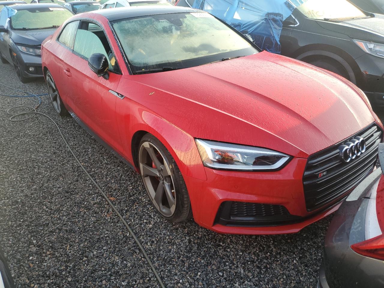 Lot #2985688598 2019 AUDI S5 PREMIUM