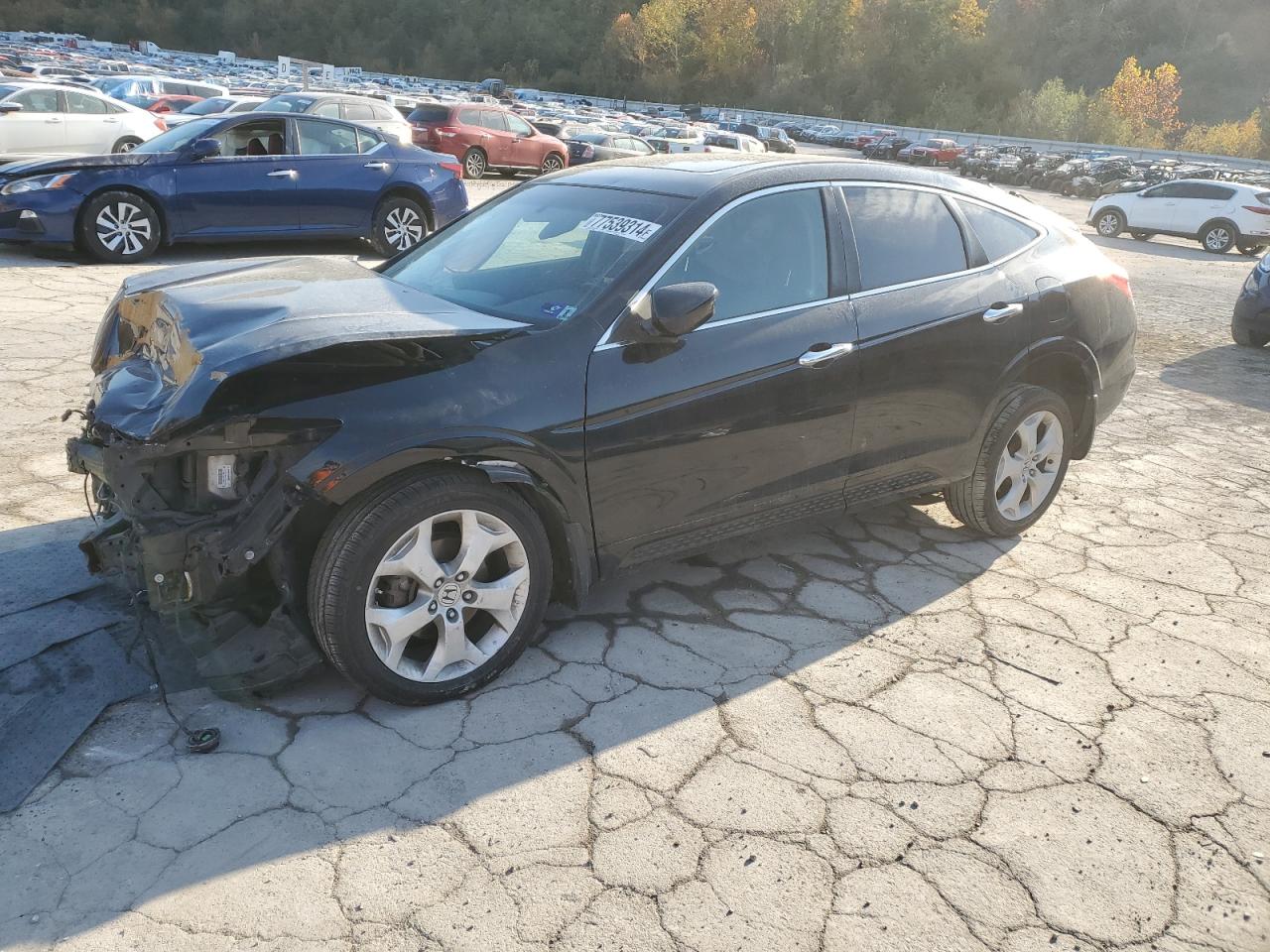 Lot #2976996731 2012 HONDA CROSSTOUR