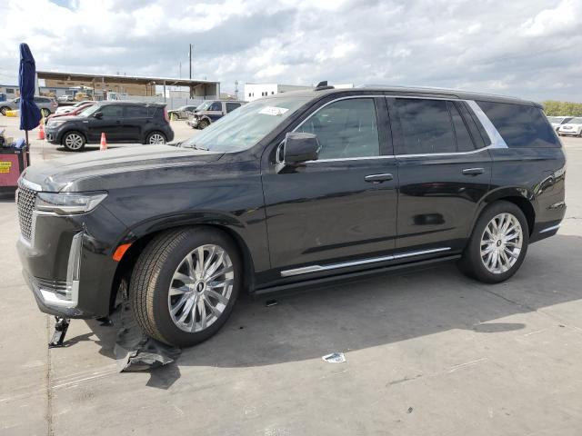 2024 CADILLAC ESCALADE P #2944896879