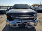 Lot #2991632040 2013 CHEVROLET SILVERADO