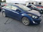 HYUNDAI ELANTRA SE photo