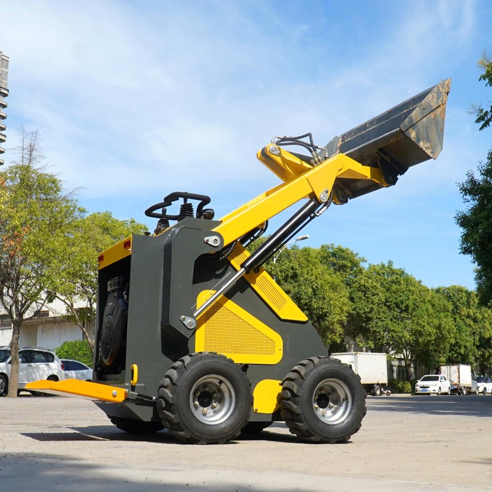 Other SKID STEER 2024 