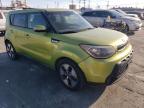 KIA SOUL + photo