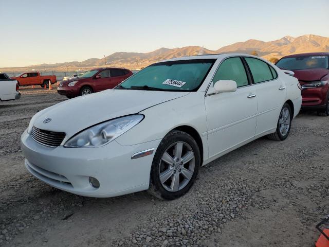 LEXUS ES 330 2006 white  gas JTHBA30G465143709 photo #1