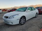 LEXUS ES 330 снимка