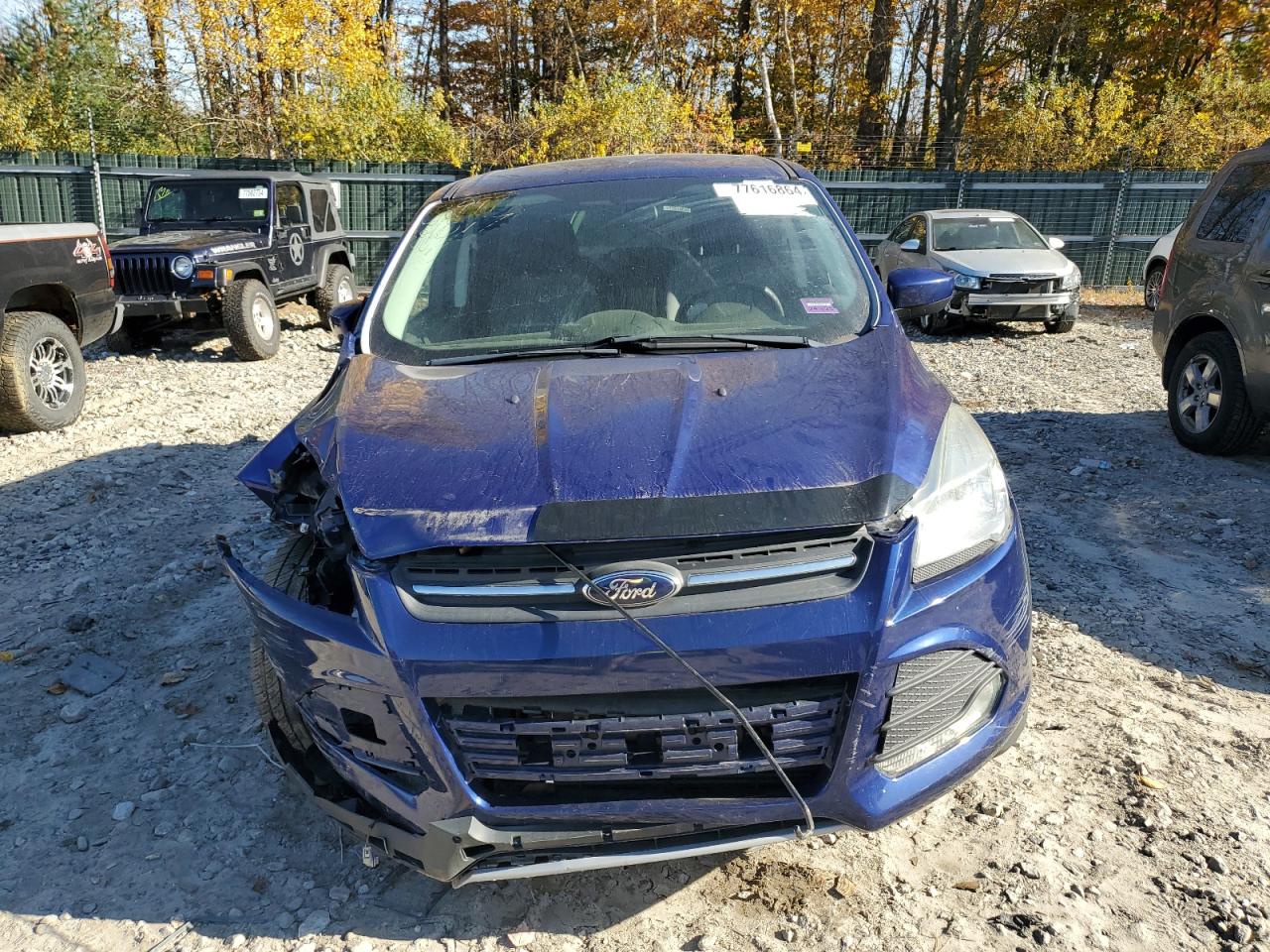 Lot #2925947230 2014 FORD ESCAPE SE