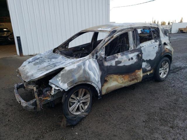 Vin: kndpmcac1h7074768, lot: 76346944, kia sportage lx 2017 img_1