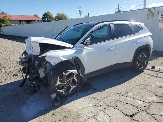 Vin: km8jccd16ru192557, lot: 74827984, hyundai tucson sel convenience 2024 img_1