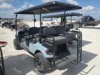 Lot #3025204601 2020 ASPT GOLF CART