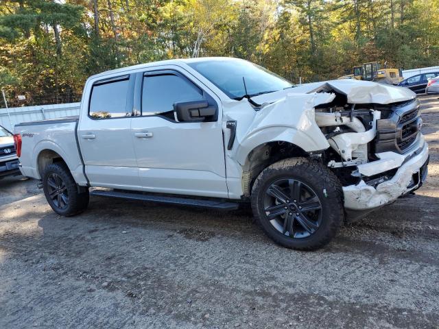 2023 FORD F150 SUPER - 1FTFW1E83PFC38929