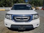 HONDA PILOT EXL photo