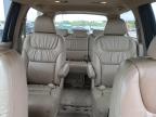 HONDA ODYSSEY EX photo