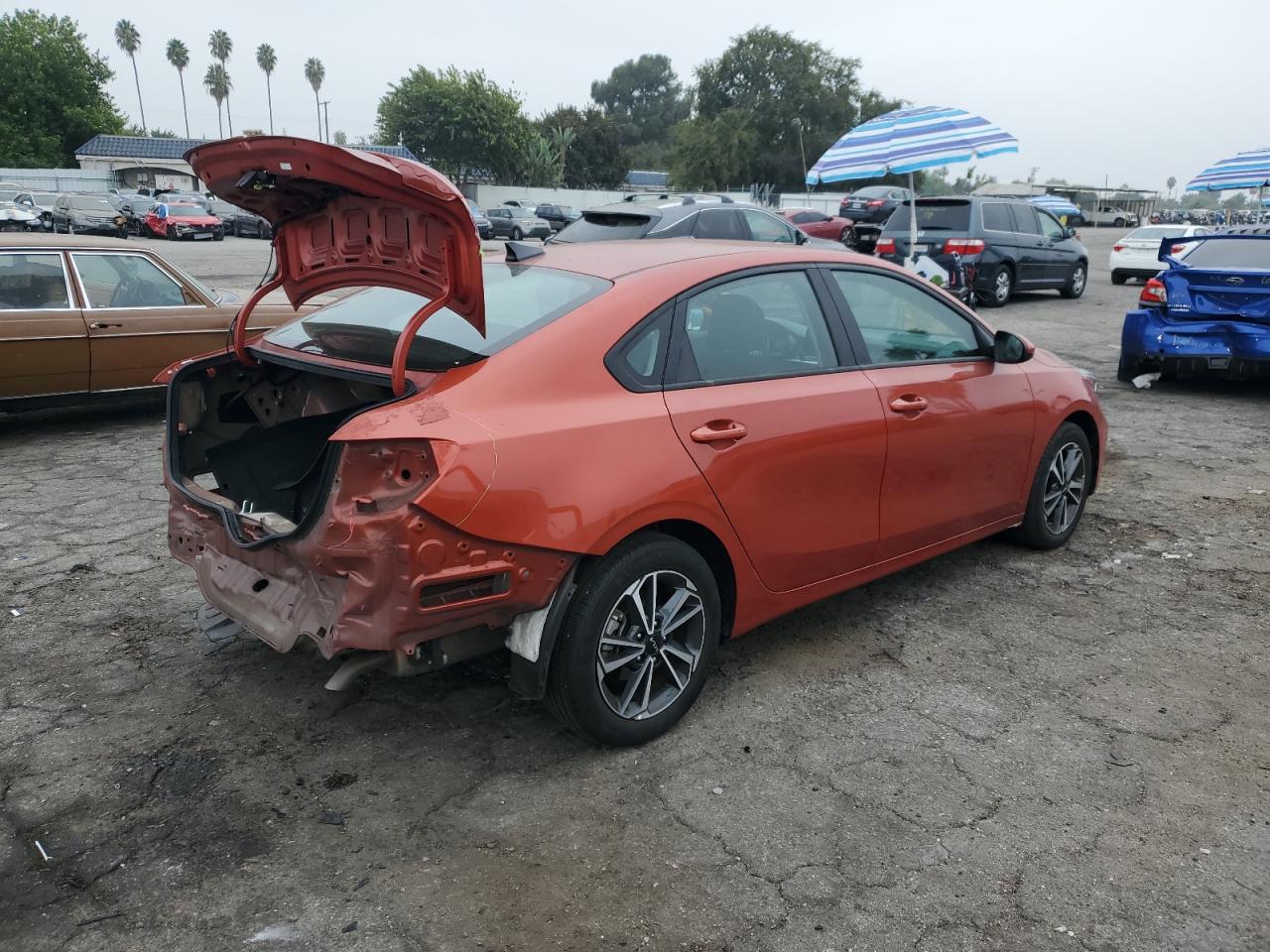 Lot #3028290829 2022 KIA FORTE FE