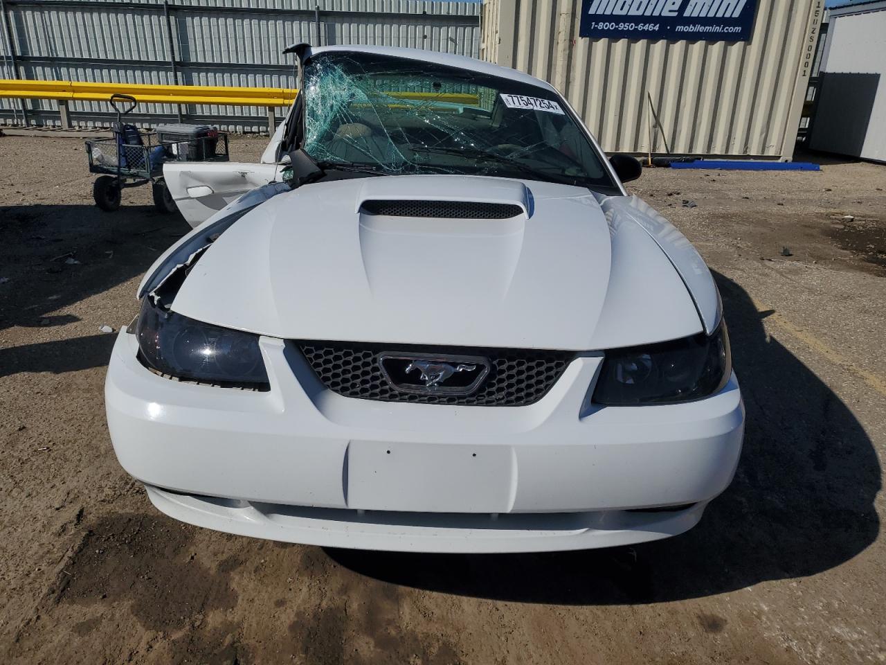 Lot #3009144241 2004 FORD MUSTANG GT