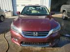 HONDA ACCORD EXL photo