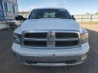 Lot #3023659934 2011 DODGE RAM 1500