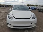 Lot #2957672071 2020 TESLA MODEL Y