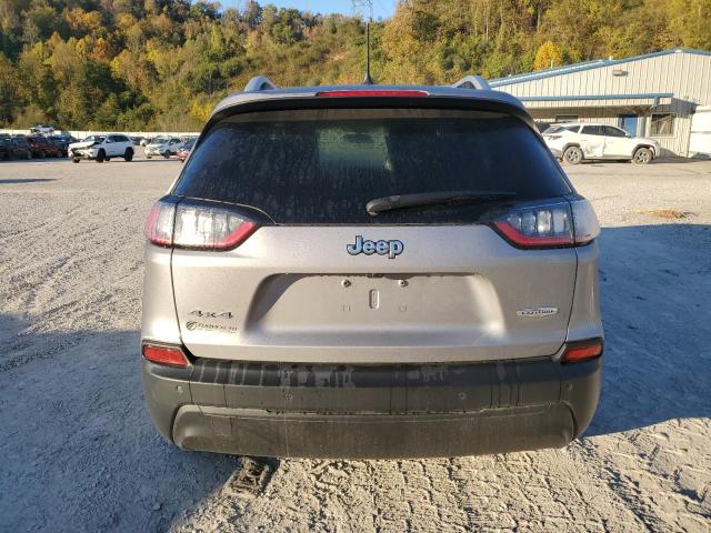 2019 JEEP CHEROKEE L - 1C4PJMLB3KD390202