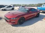 2019 FORD MUSTANG - 1FA6P8THXK5201857