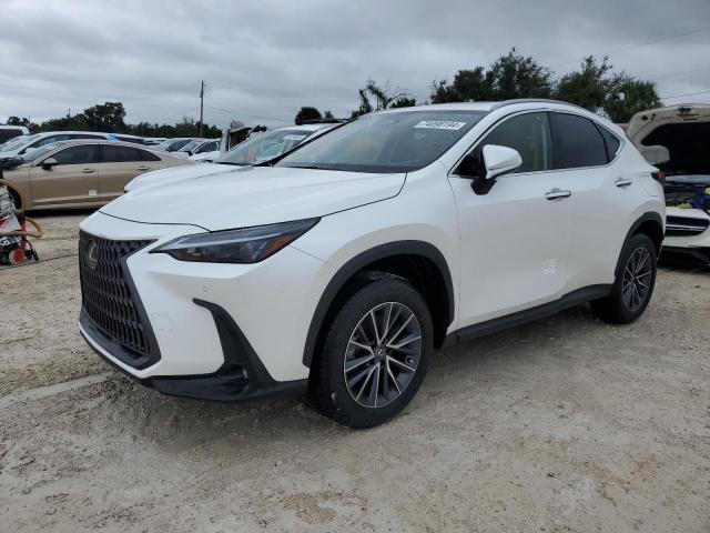 2025 LEXUS NX 250 PRE