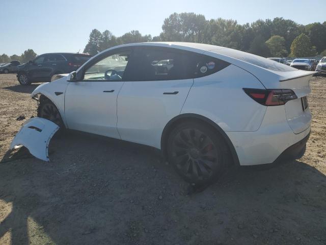 2021 TESLA MODEL Y - 5YJYGDEF5MF121584