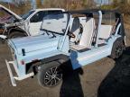 Lot #2952217026 2020 MOKE CRUISER