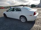 CHEVROLET MALIBU LS photo